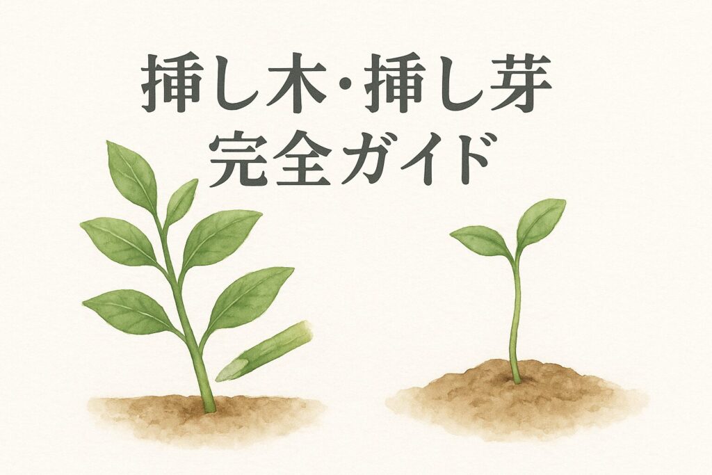 挿し木・挿し芽のやり方完全ガイド|失敗しないコツと土・発根のポイント | Grow Eat Repeat